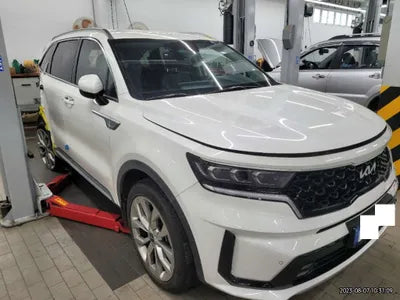 2023 Kia Sorento KNARL81BGPA193571 VIN:KNARL81BGPA193571