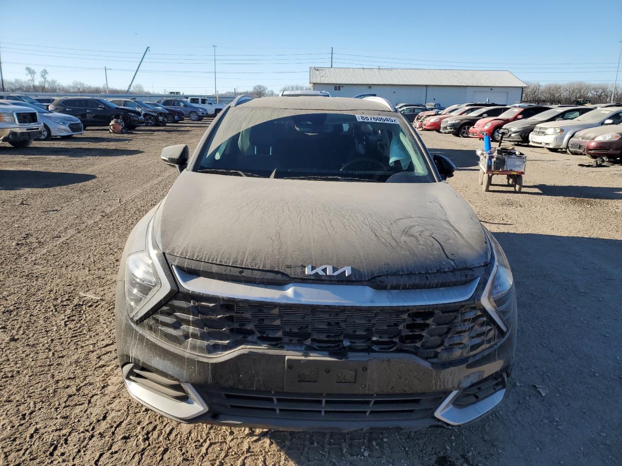2024 KIA SPORTAGE EX VIN:5XYK3CDFXRG233343