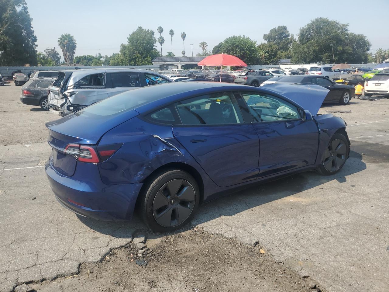 2022 TESLA MODEL 3  VIN:5YJ3E1EA1NF111395