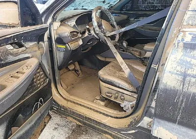 2019 Hyundai Santa FE KMHS381BDKU033487 VIN:KMHS381BDKU033487