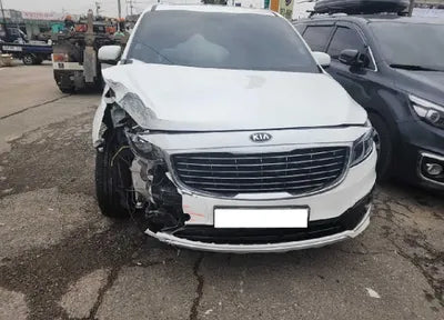 2015 Kia Carnival KNAMB81ABFS044619 VIN:KNAMB81ABFS044619