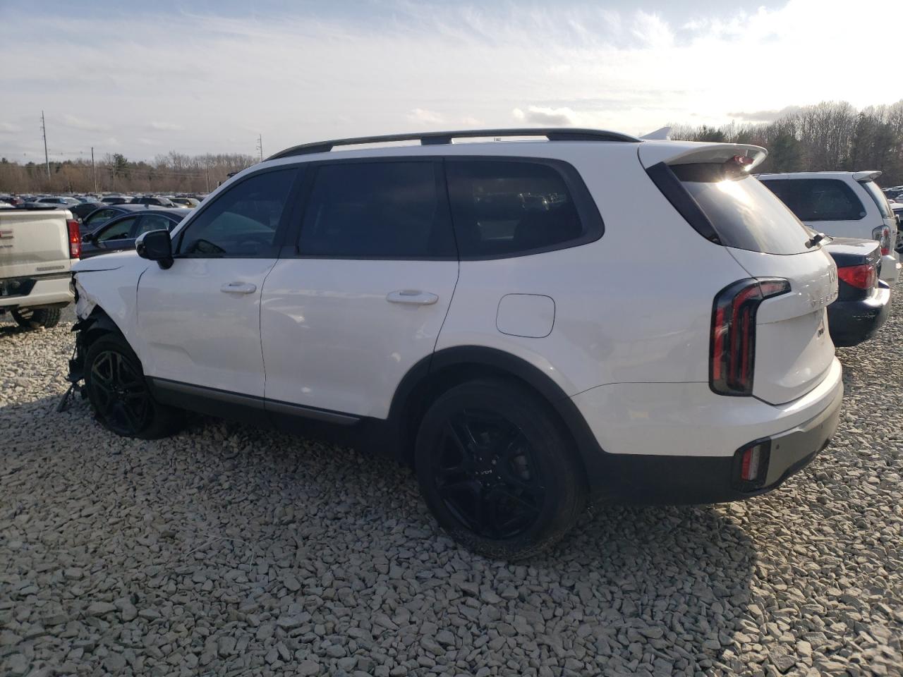 2023 KIA TELLURIDE SX VIN:5XYP5DGC9PG333549