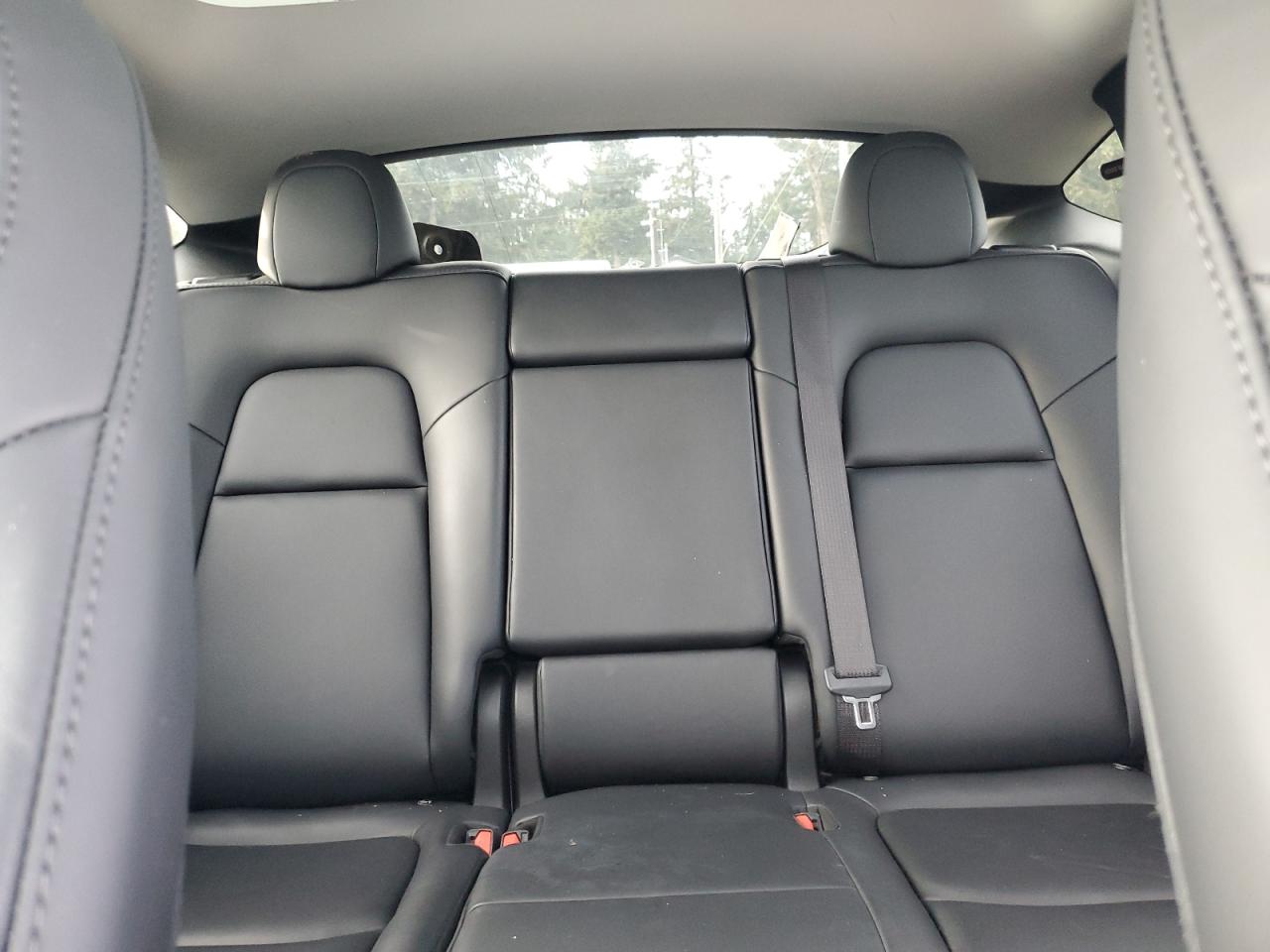 2024 TESLA MODEL Y  VIN:7SAYGAEE8RF985321