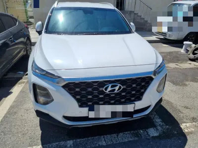 2019 Hyundai Santa FE KMHS381BDKU161183 VIN:KMHS381BDKU161183