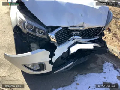 2017 Kia Sorento KNAPS81ABHA362120 VIN:KNAPS81ABHA362120