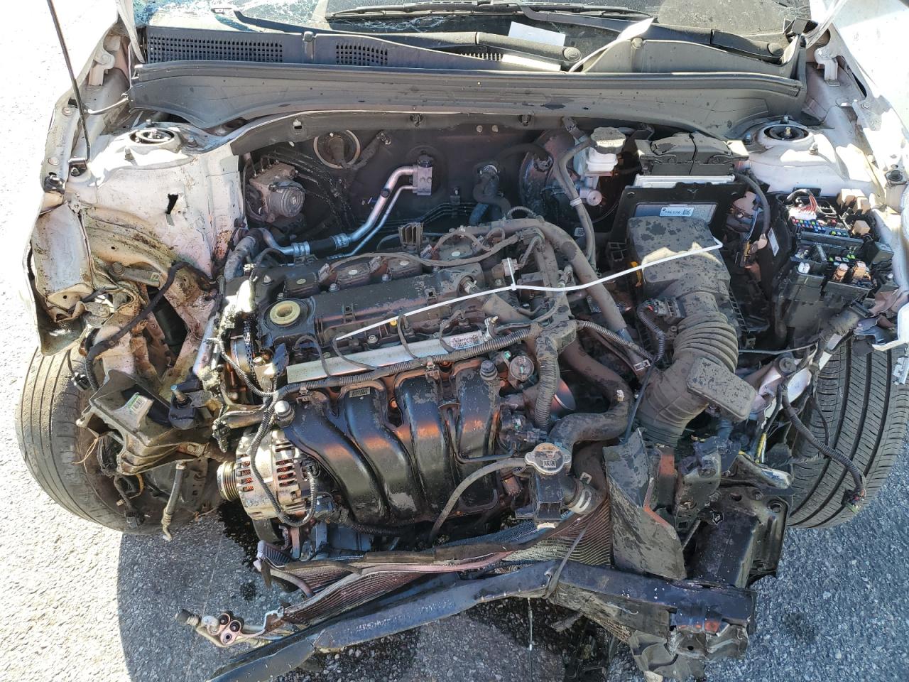 2023 KIA FORTE LX VIN:3KPF24AD0PE538552