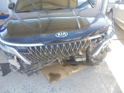 2021 Kia Carnival VIN:
