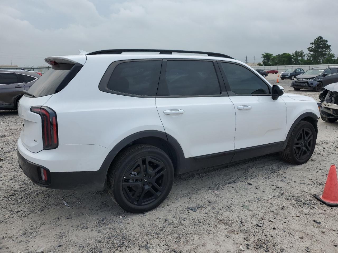 2024 KIA TELLURIDE EX VIN:5XYP3DGC4RG468009