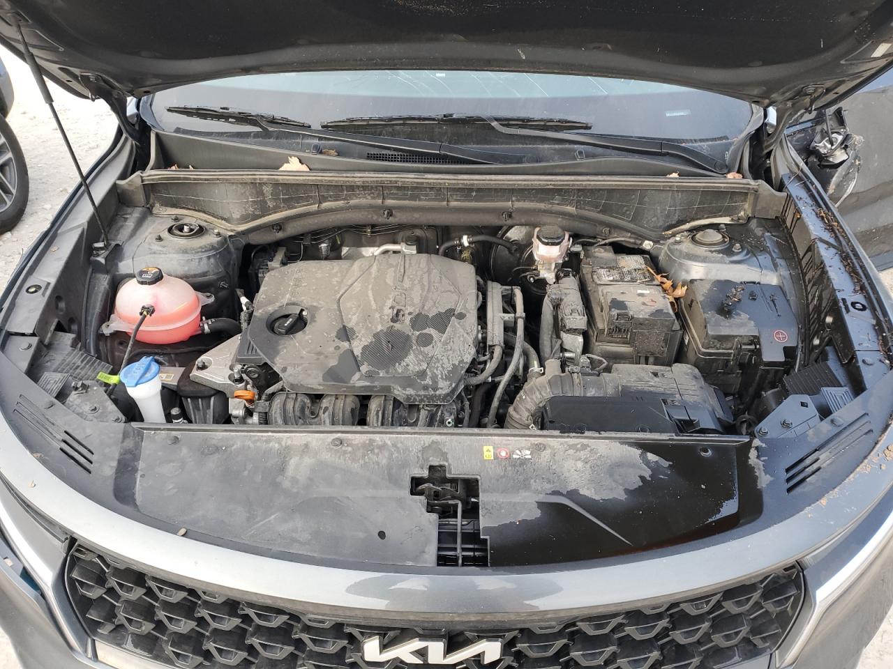 2023 KIA SORENTO S VIN:5XYRL4LC3PG187850