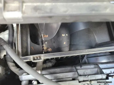 2017 BMW 320 818KMWBA8A9108HK8 VIN:818KMWBA8A9108HK8