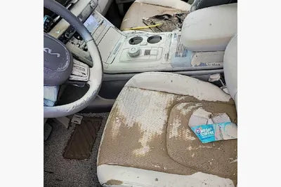 2023 Kia Carnival KNANE81BBPS223601 VIN:KNANE81BBPS223601