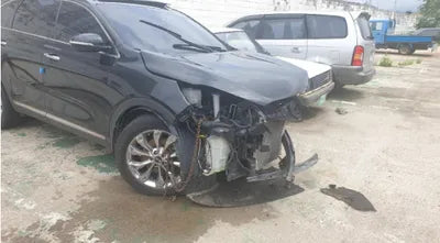 2019 Kia Sorento KNAPH81BBKA520573 VIN:KNAPH81BBKA520573