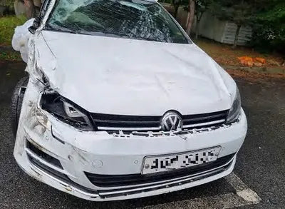 2016 Volkswagen Golf 252KMWVWZZZAUZGW0 VIN:252KMWVWZZZAUZGW0