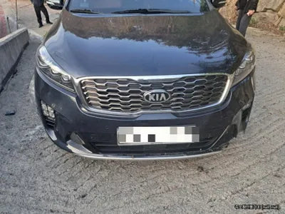 2020 Kia Sorento KNAPH81ABLA648019 VIN:KNAPH81ABLA648019