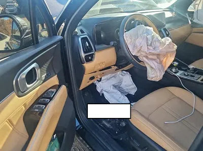 2023 Kia Sorento KNARH81BGPA211229 VIN:KNARH81BGPA211229