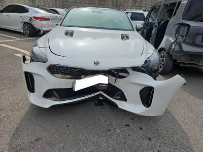 2018 Kia Stinger KNAE751CBJS029587 VIN:KNAE751CBJS029587