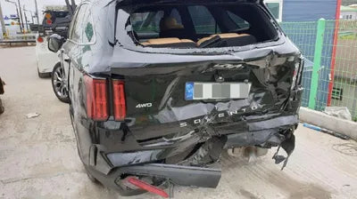 2021 Kia Sorento KNARF81BHNA125531 VIN:KNARF81BHNA125531