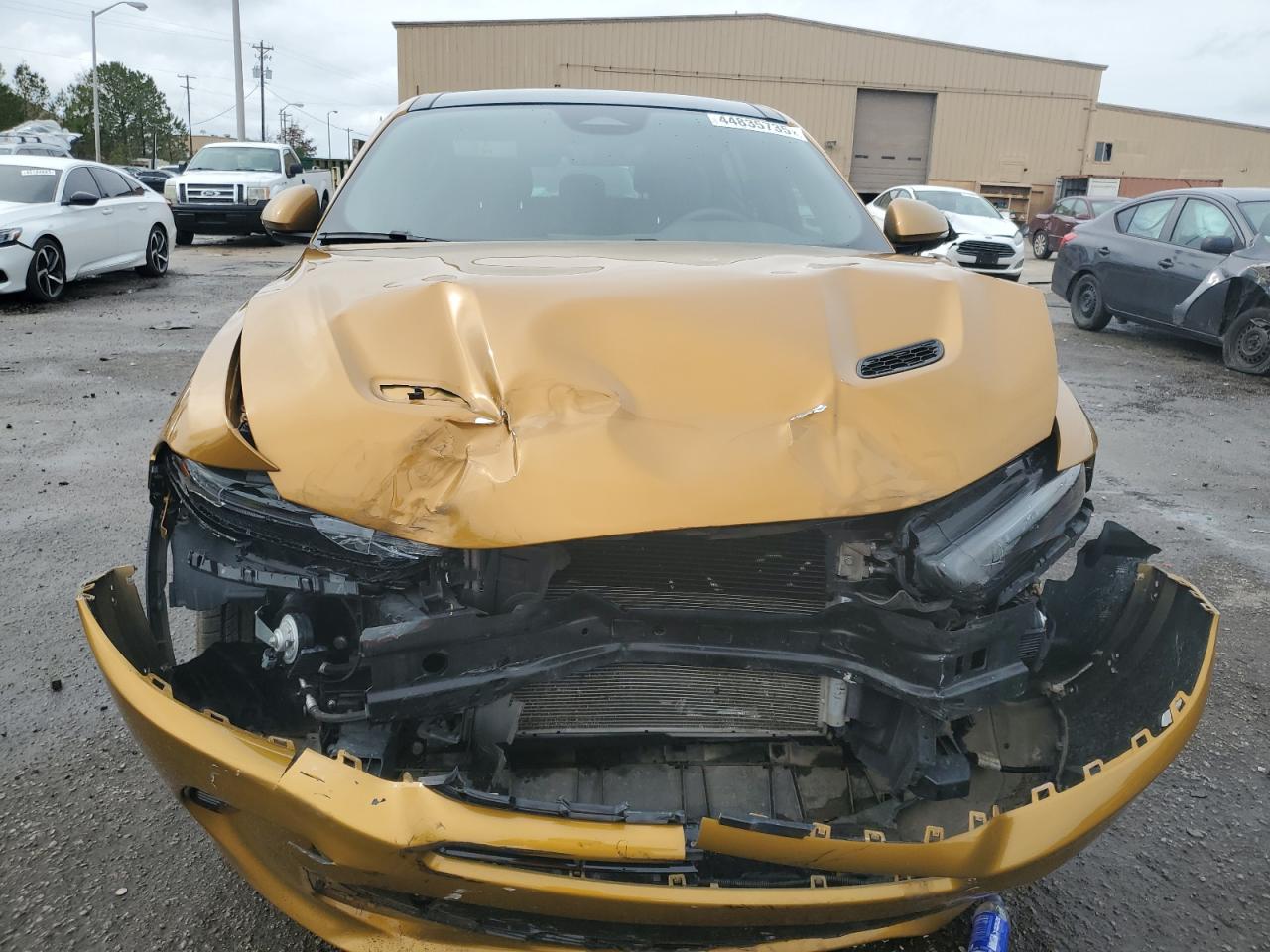 2024 DODGE HORNET GT PLUS VIN:ZACNDFBN1R3A13148