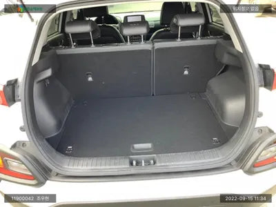 2020 Hyundai Kona KMHK4815GLU517860 VIN:KMHK4815GLU517860