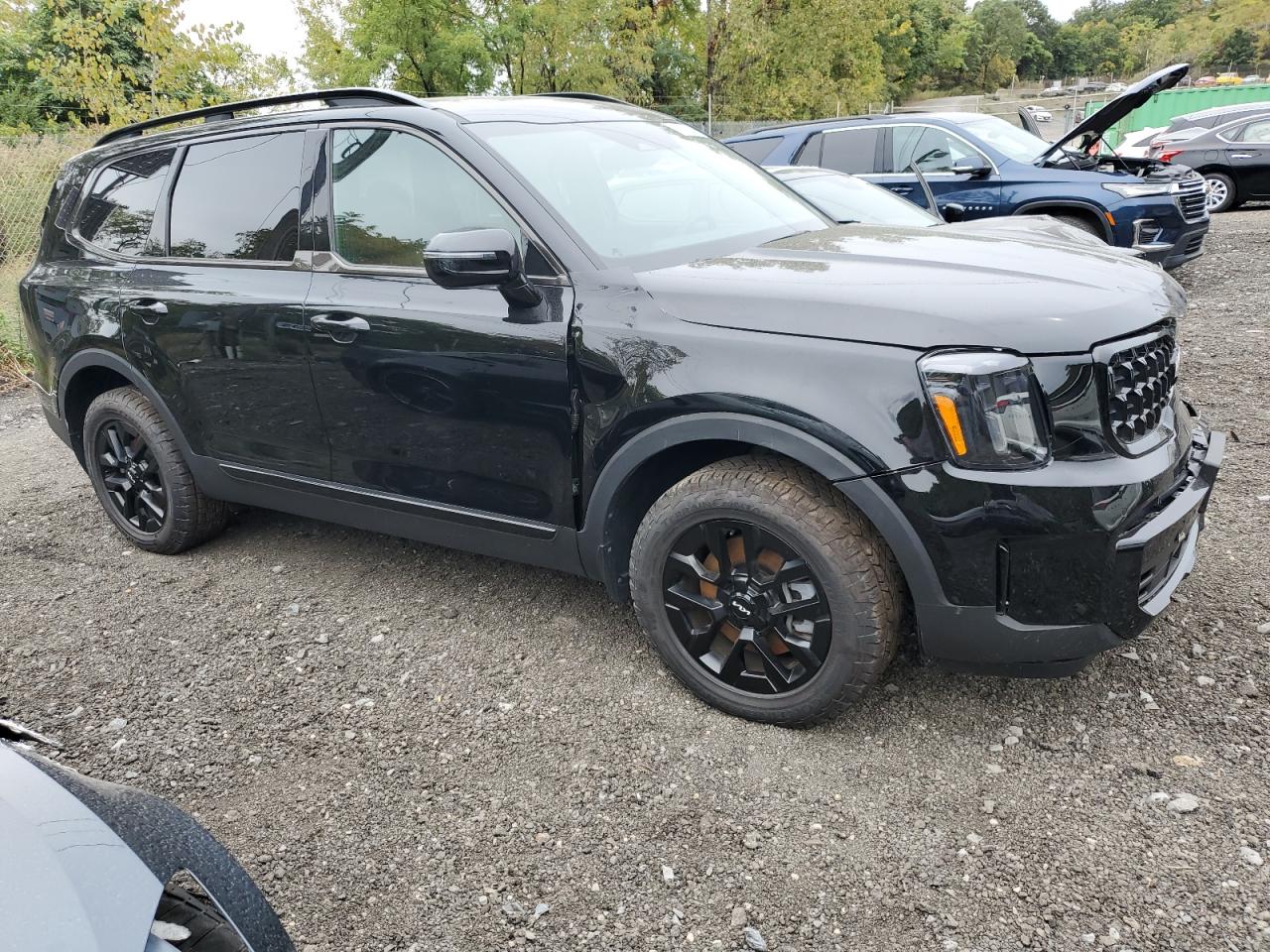 2024 KIA TELLURIDE SX VIN:5XYP5DGC4RG464827