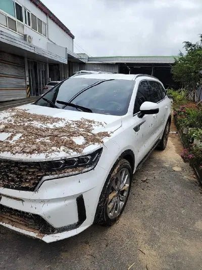 2021 Kia Sorento VIN: