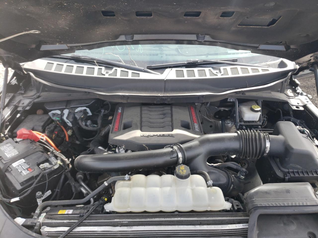 2022 FORD F150 RAPTOR VIN:1FTFW1RG4NFA03843