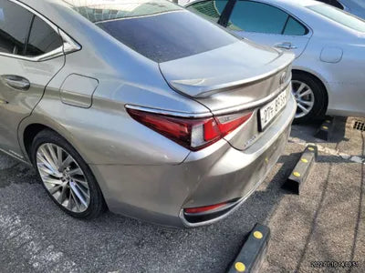 2019 Lexus ES 300 JTHB21B10K2052894 VIN:JTHB21B10K2052894