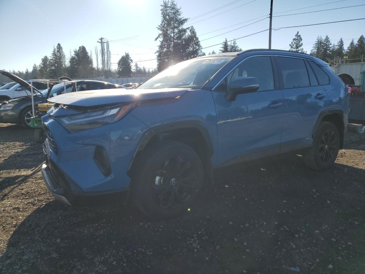 2023 TOYOTA RAV4 SE VIN:4T3T6RFV1PU113092