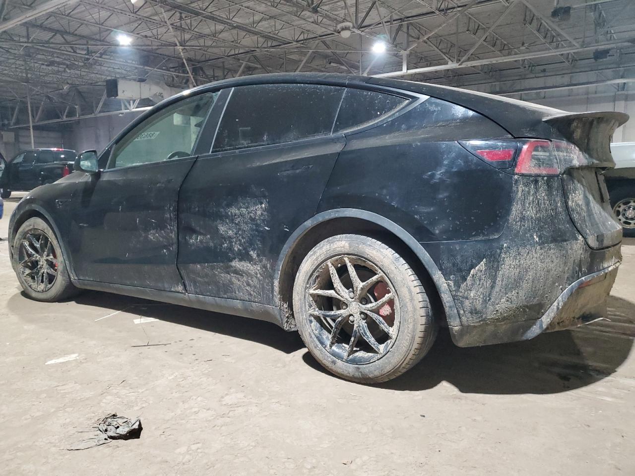 2022 TESLA MODEL Y  VIN:7SAYGDEF7NF564520