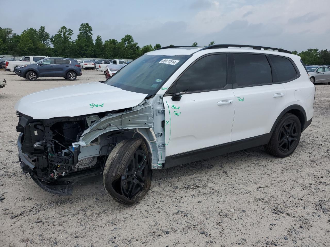 2024 KIA TELLURIDE EX VIN:5XYP3DGC4RG468009