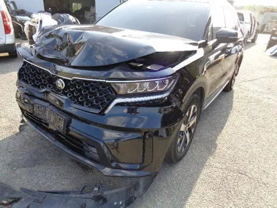 2021 Kia Sorento KNARJ81BGMA075401 VIN:KNARJ81BGMA075401