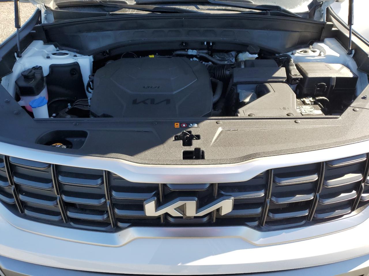 2024 KIA TELLURIDE SX VIN:5XYP54GC0RG552256