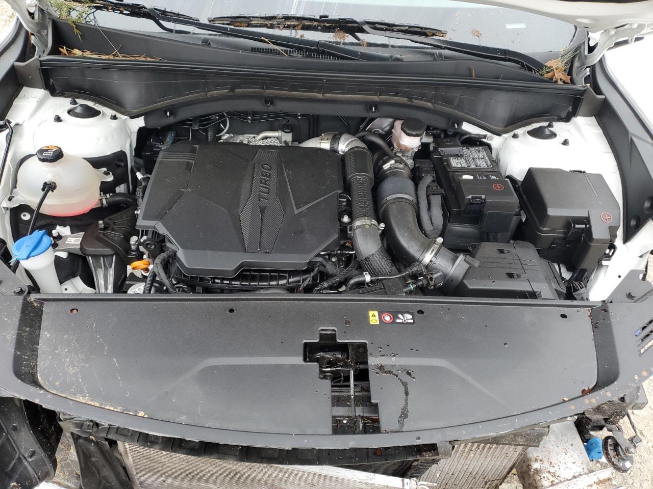 2023 KIA SORENTO SX VIN:5XYRK4LF4PG218567