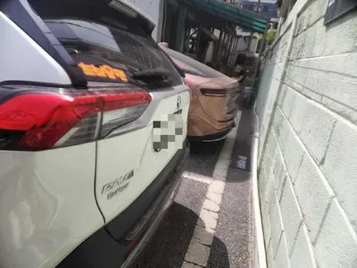 2019 Toyota RAV4 VIN: