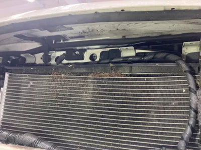 2016 nissan cashkai VIN: