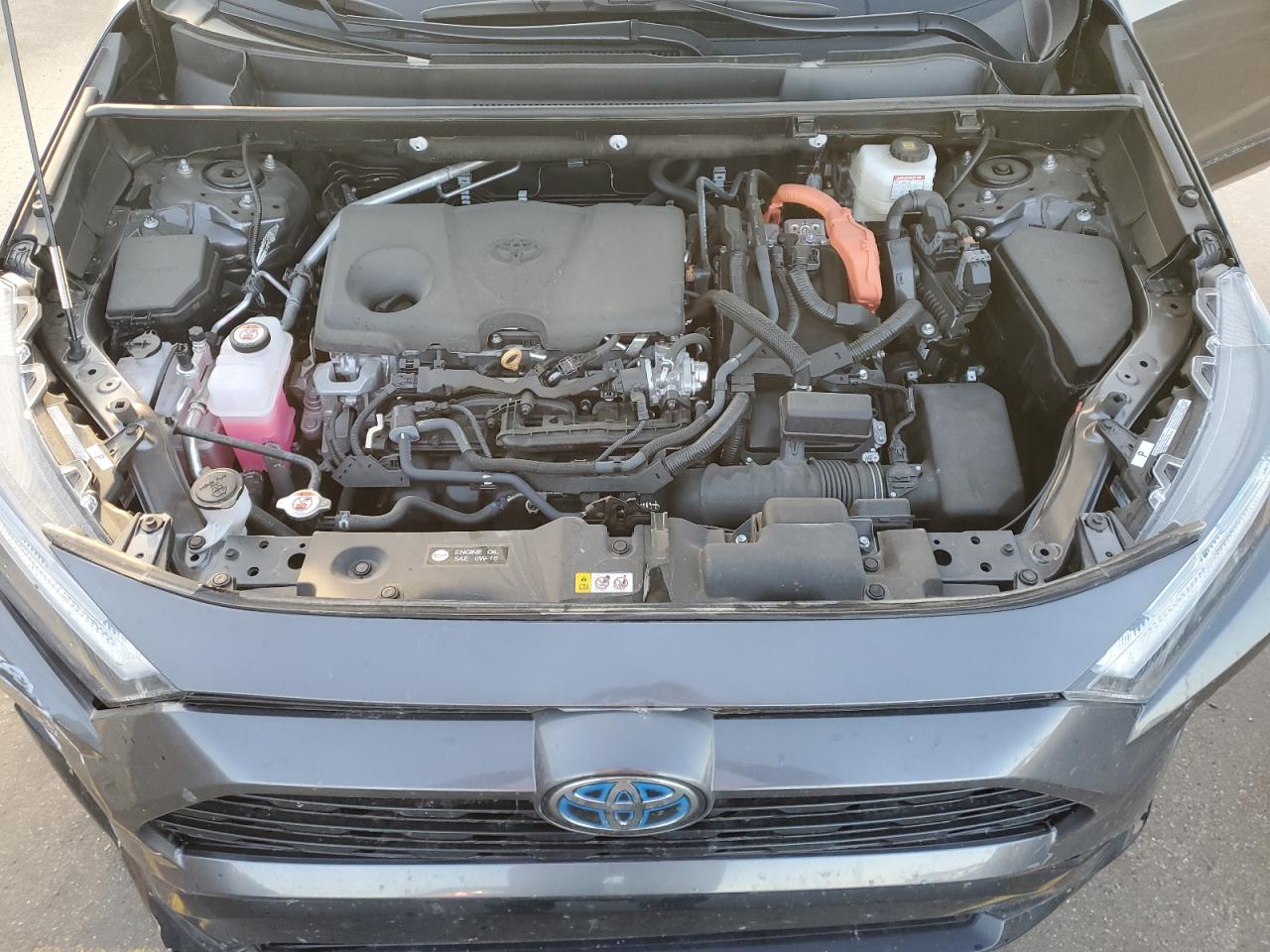 2024 TOYOTA RAV4 SE VIN:4T3T6RFV6RU152974