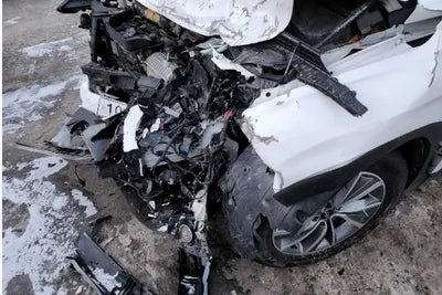 2019 Hyundai Santa FE KMHS281BDKU113892 VIN:KMHS281BDKU113892