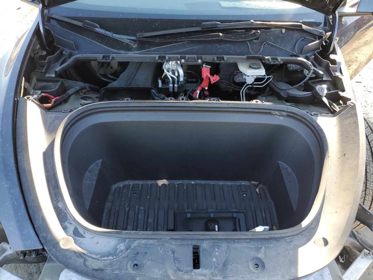 2023 TESLA MODEL Y  VIN:7SAYGDEE0PF862126