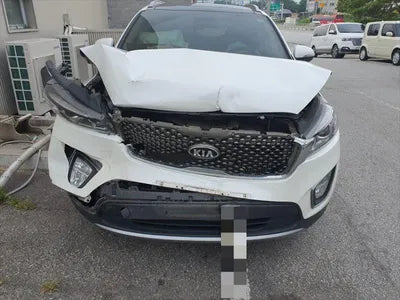 2016 Kia Sorento KNAPS81ADGA254261 VIN:KNAPS81ADGA254261