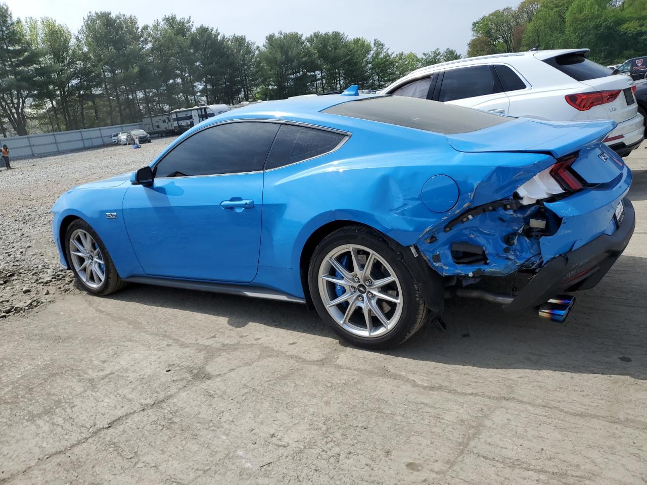2024 FORD MUSTANG GT VIN:1FA6P8CF7R5407274