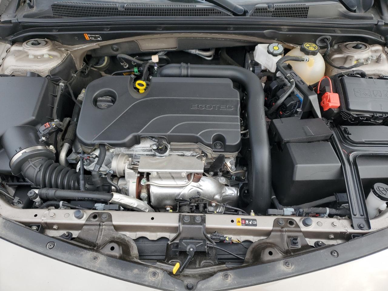 2023 CHEVROLET MALIBU LT VIN:1G1ZD5ST3PF233094