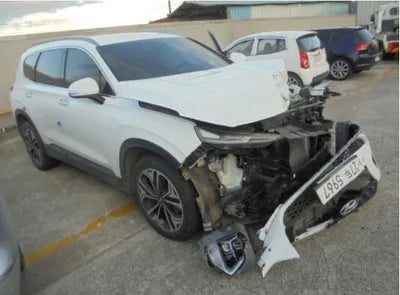 2019 Hyundai Santa FE KMHS281BDKU120334 VIN:KMHS281BDKU120334