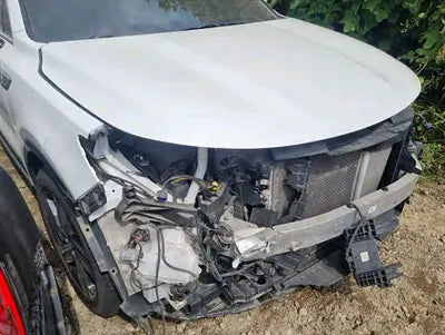 2021 Kia Sorento KNARK81GDMA000615 VIN:KNARK81GDMA000615