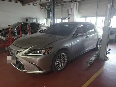 2019 Lexus ES 300 JTHB21B13K2038973 VIN:JTHB21B13K2038973