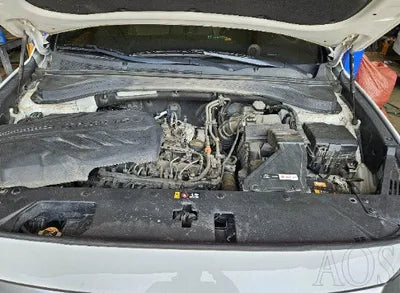 2020 Hyundai Santa FE KMHS381BBLU287607 VIN:KMHS381BBLU287607