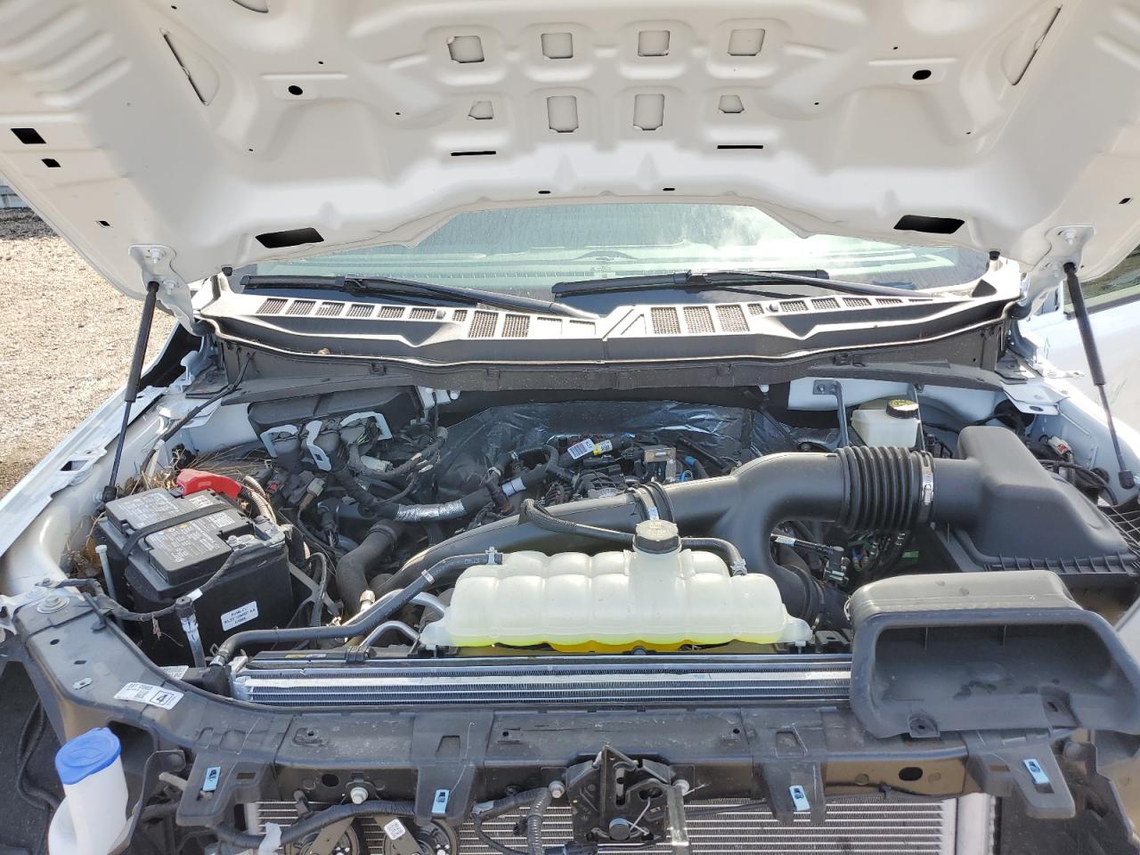 2024 FORD F150 STX VIN:1FTEW2LP2RKE58276