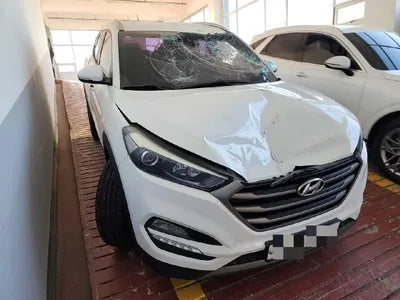 2016 Hyundai Tucson KMHJ381ADGU204673 VIN:KMHJ381ADGU204673