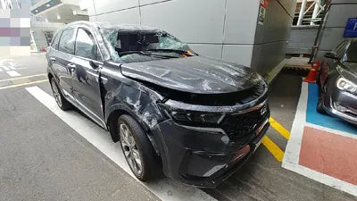 2020 Kia Sorento KNARG81BGMA017381 VIN:KNARG81BGMA017381