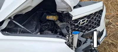 2019 Hyundai Santa FE KMHS381BBKU051777 VIN:KMHS381BBKU051777