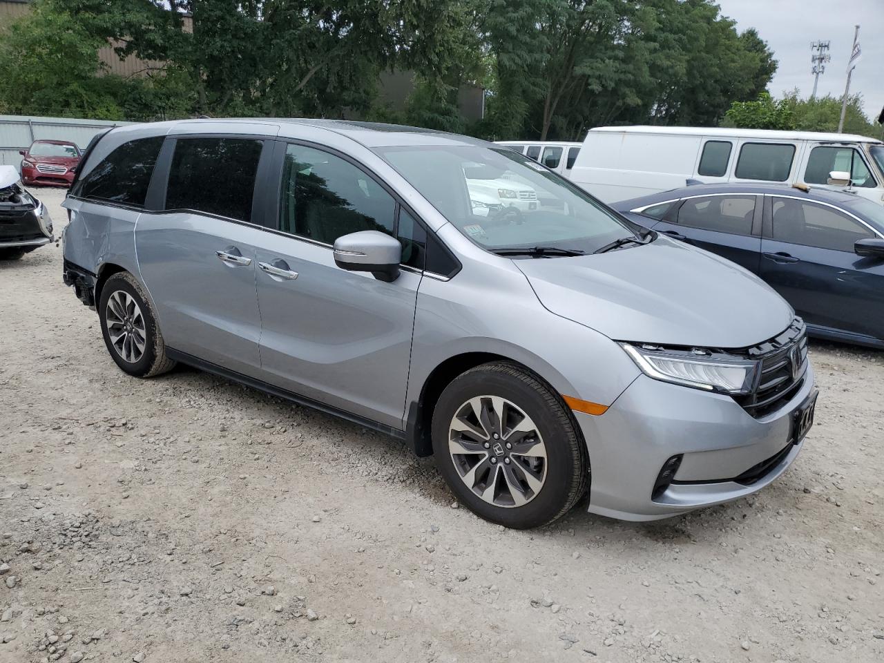 2024 HONDA ODYSSEY EXL VIN:5FNRL6H64RB014928